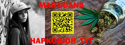 сатива Можга