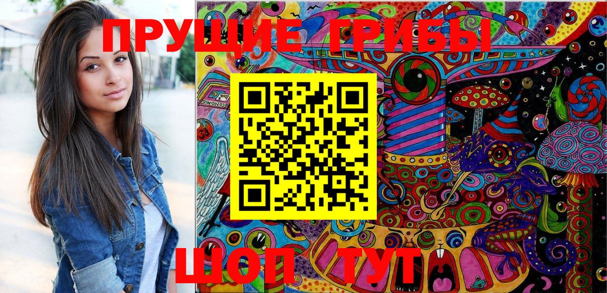 Псилоцибиновые грибы Cubensis  Галлюциногенные грибы Psilocybine cubensis  Гусев  Вход с VPN 