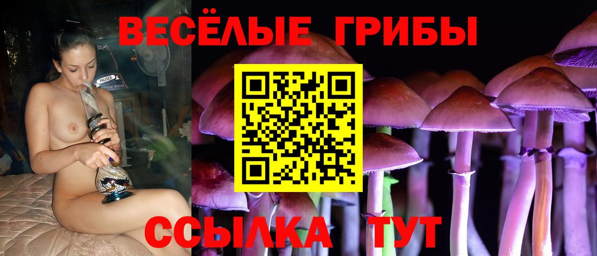 Канабис Гусев