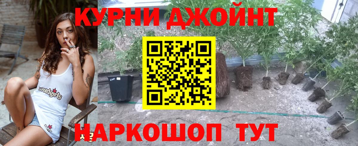 Канабис гибрид  МАРИХУАНА Ganja  Вход с VPN  Гусев 
